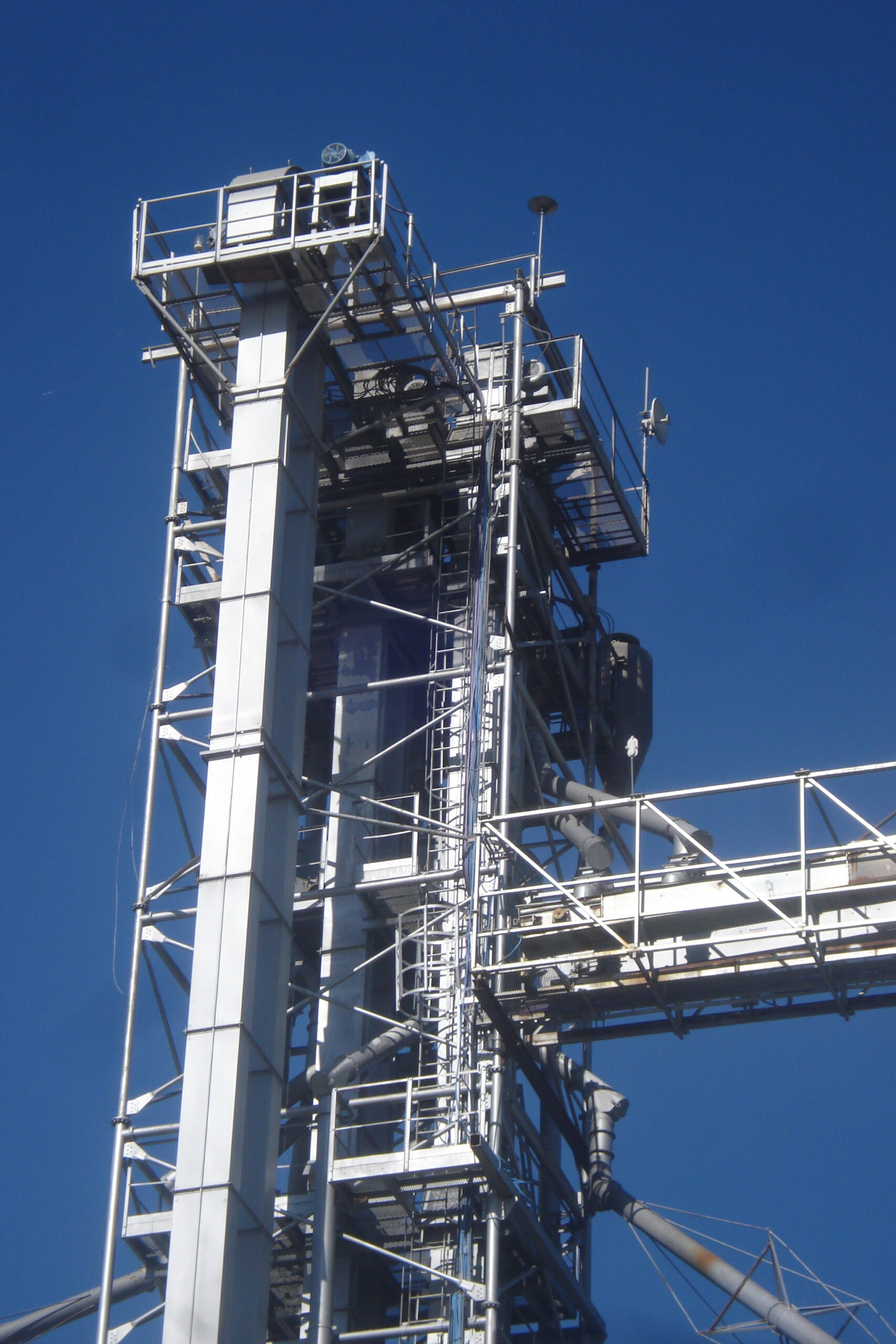 Elevador de cangilones